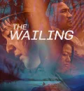 The Wailing (2016) (Hindi + Korean) Dual Audio Hollywood Movie BluRay HD ESub