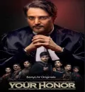 Your Honor S1 (2021) Hindi Completed Web Series HEVC ESub